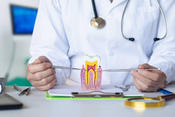 Best Emergency Gum Treatment in Big Bear City, CA